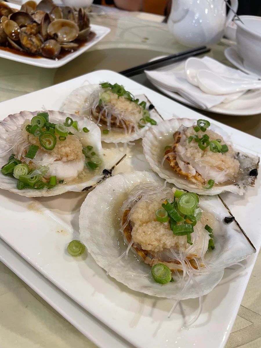 oysters with ginger green onion hot pot 姜葱生蚝煲, Kwan Luck Restaurant